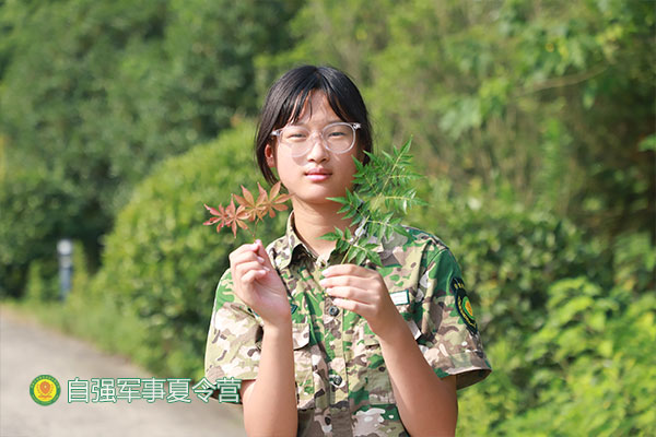 自然之画